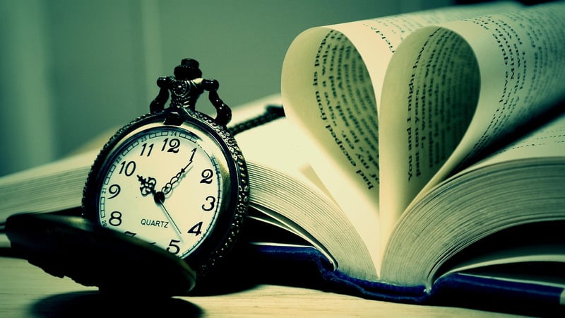 The Time Traveler's Wife